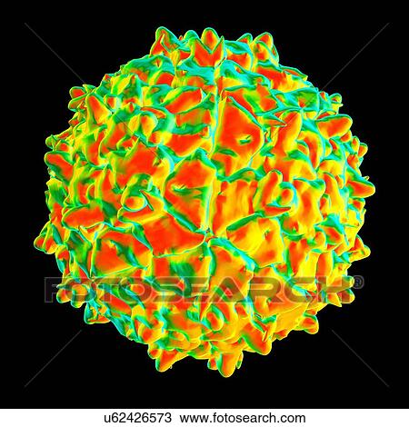 Triatoma virus, computer artwork. View Large Illustration Drawing - Triatoma virus, computer artwork.. Fotosearch