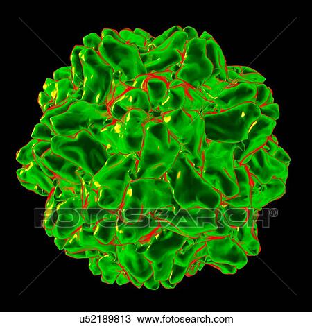 Turnip yellow mosaic virus, computer artwork. View Large Illustration Drawing - Turnip yellow mosaic virus, computer artwork.. Fotosearch