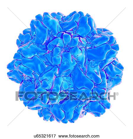 Turnip yellow mosaic virus, computer artwork. View Large Illustration Stock Illustration - Turnip yellow mosaic virus, computer artwork.. Fotosearch