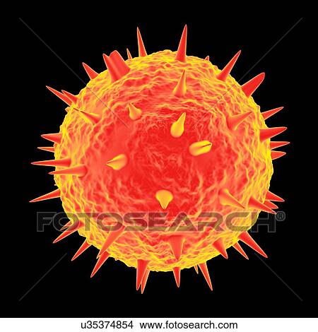 Venezuelan haemorrhagic fever, computer artwork. View Large Illustration Stock Illustration - Venezuelan haemorrhagic fever, computer artwork.. Fotosearch