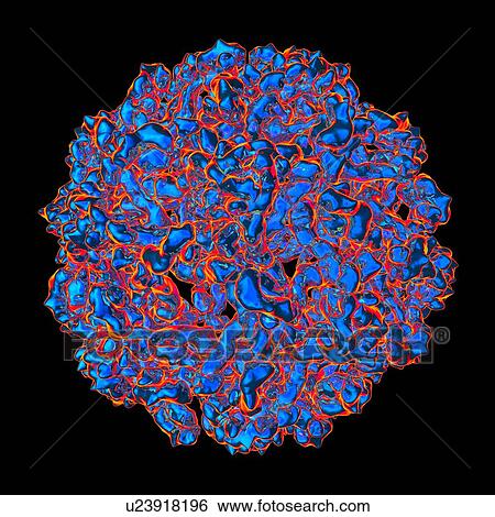 West nile virus, computer artwork. View Large Illustration Stock Illustration - West nile virus, computer artwork.. Fotosearch
