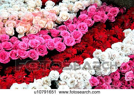 Clip Art - assorted floral arrangement. Fotosearch