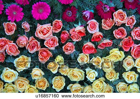 assorted floral arrangement View Large Illustration Clipart - assorted floral arrangement. Fotosearch