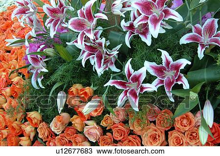 assorted floral arrangement View Large Illustration Drawing - assorted floral arrangement. Fotosearch