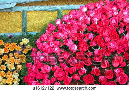 assorted floral arrangement View Large Illustration Drawing - assorted floral arrangement. Fotosearch