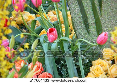 assorted floral arrangement View Large Illustration Drawing - assorted floral arrangement. Fotosearch