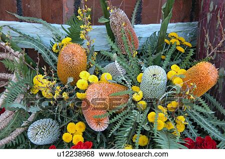 assorted floral arrangement View Large Illustration Stock Illustration - assorted floral arrangement. Fotosearch