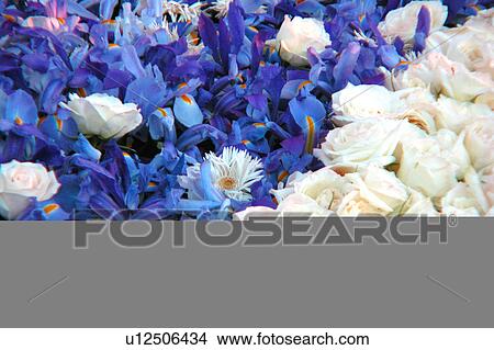 assorted floral arrangement View Large Illustration Stock Illustration - assorted floral arrangement. Fotosearch