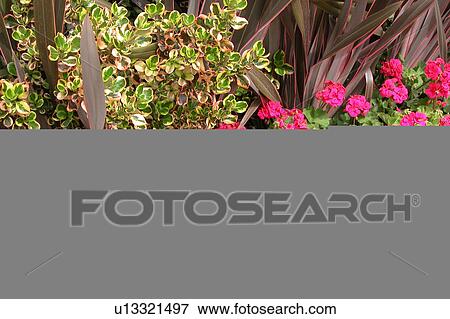 assorted floral arrangement View Large Illustration Stock Illustration - assorted floral arrangement. Fotosearch
