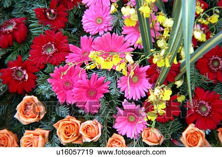 assorted floral arrangement View Large Illustration Stock Illustration - assorted floral arrangement. Fotosearch