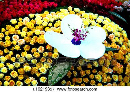 Stock Illustration - assorted floral arrangement. Fotosearch