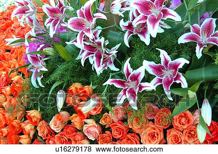 Stock Illustration - assorted floral arrangement. Fotosearch