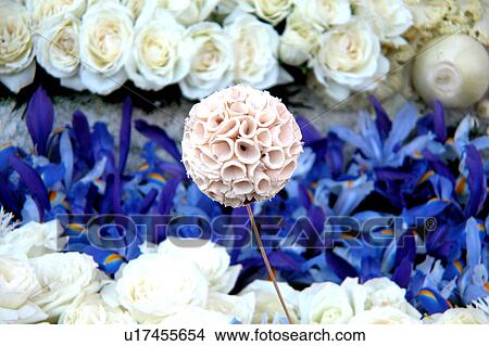 assorted floral arrangement View Large Illustration Stock Illustration - assorted floral arrangement. Fotosearch