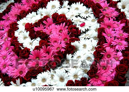 question mark floral arrangement View Large Illustration Stock Illustration - question mark floral arrangement. Fotosearch