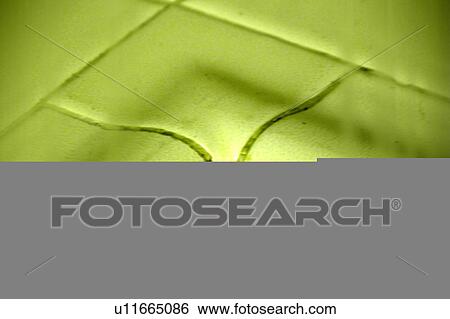 Stock Illustration - tile countertop detail. Fotosearch