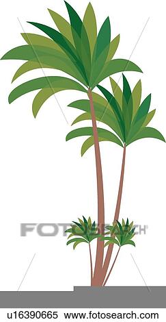 graphic palm trees View Large Illustration Stock Illustration - graphic palm trees. Fotosearch