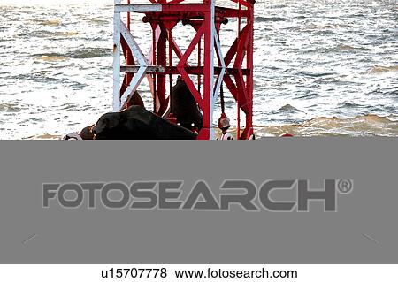 bouy in ocean View Large Illustration Stock Illustration - bouy in ocean. Fotosearch