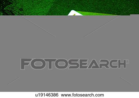 Green hue Ace and a Queen View Large Illustration Stock Illustration - Green hue Ace and a Queen. Fotosearch