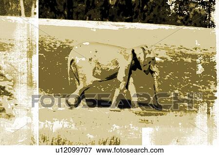 abstract monochrome elephant View Large Illustration Stock Illustration - abstract monochrome elephant. Fotosearch