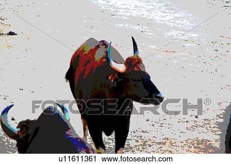 bull View Large Illustration Clip Art - bull. Fotosearch
