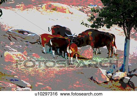 Stock Illustration - bull. Fotosearch