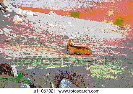 deer View Large Illustration Clip Art - deer. Fotosearch