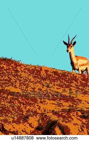 deer View Large Illustration Stock Illustration - deer. Fotosearch