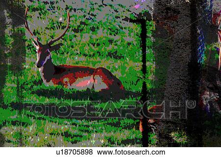 deer View Large Illustration Stock Illustration - deer. Fotosearch