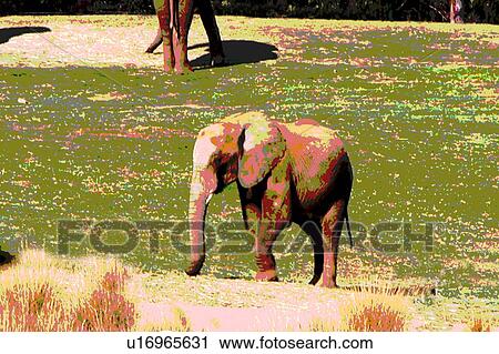 Clip Art - elephant. Fotosearch
