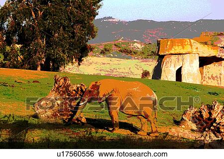 elephant View Large Illustration Stock Illustration - elephant. Fotosearch