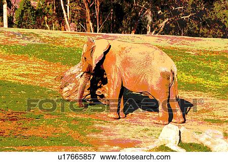 elephant View Large Illustration Stock Illustration - elephant. Fotosearch