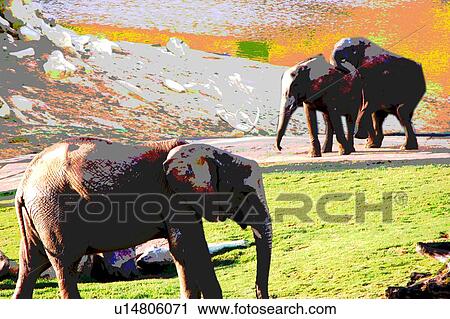 elephants View Large Illustration Clip Art - elephants. Fotosearch