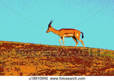 gazzelle on a hill View Large Illustration Clipart - gazzelle on a hill. Fotosearch