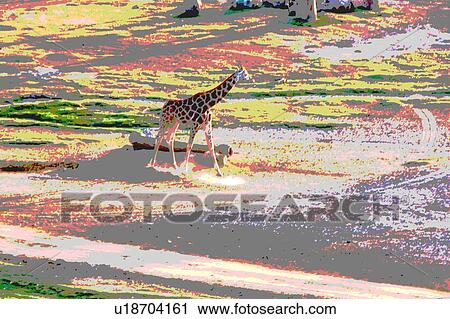 Clip Art - giraffe. Fotosearch
