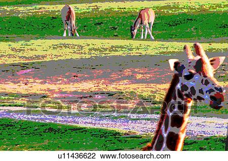 giraffe with other animals View Large Illustration Drawing - giraffe with other animals. Fotosearch