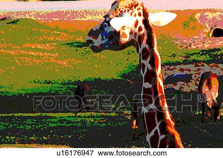 giraffe with other animals View Large Illustration Stock Illustration - giraffe with other animals. Fotosearch