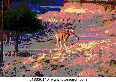 giraffes View Large Illustration Clipart - giraffes. Fotosearch