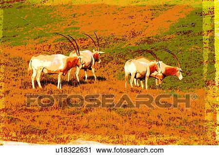 goat View Large Illustration Clip Art - goat. Fotosearch