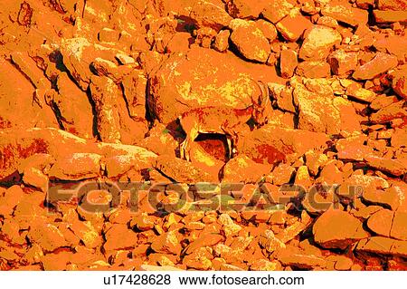 Stock Illustration - goat on a rocky hill. Fotosearch