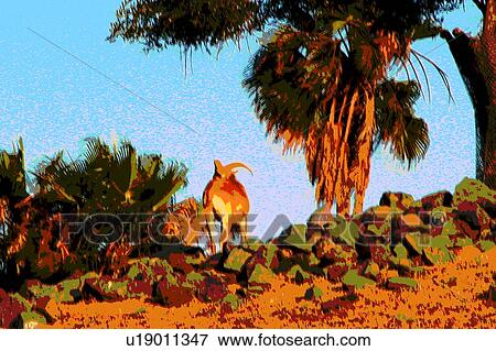 goat View Large Illustration Stock Illustration - goat. Fotosearch