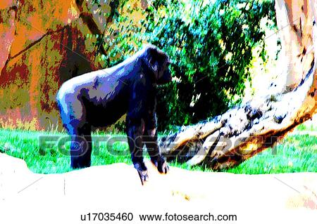Clipart - gorilla. Fotosearch