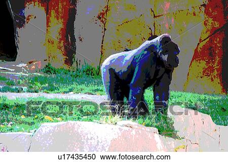 gorilla View Large Illustration Clipart - gorilla. Fotosearch