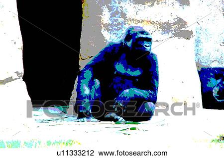 gorilla View Large Illustration Drawing - gorilla. Fotosearch