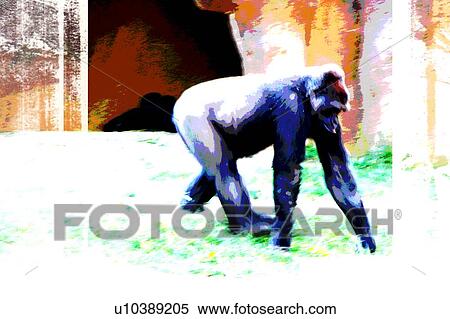 Stock Illustration - gorilla. Fotosearch