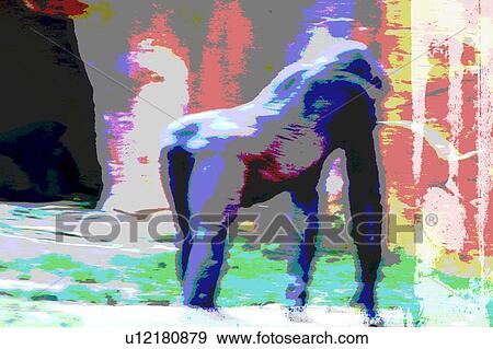 Stock Illustration - gorilla. Fotosearch