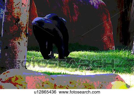 Stock Illustration - gorilla. Fotosearch