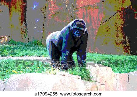 gorilla View Large Illustration Stock Illustration - gorilla. Fotosearch