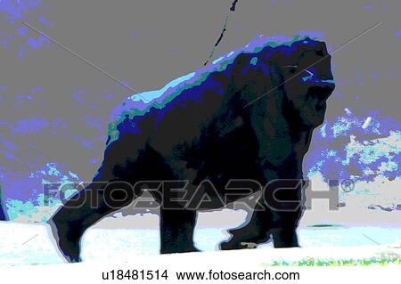 gorilla View Large Illustration Stock Illustration - gorilla. Fotosearch
