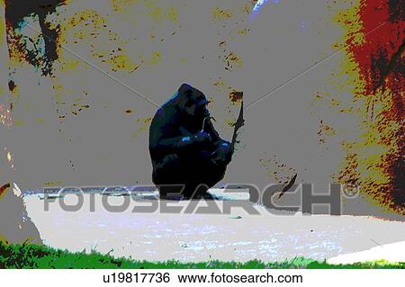 Stock Illustration - gorilla. Fotosearch