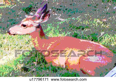 Clip Art - resting deer. Fotosearch
